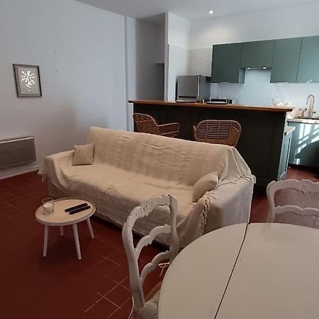 Hypercentre, Appartement Coquet En Rez-De-Chaussee Перпинян Екстериор снимка